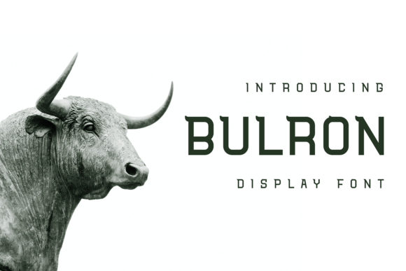 Bulron Display Font for Web Design