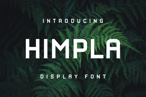 Himpla Font Review for Branding Projects