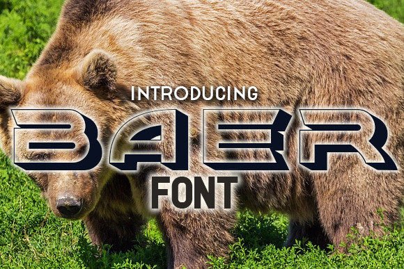 How Baer Transformed My Campaign Visuals with Bold Typography