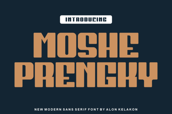 Moshe Prengky: A Bold Display Font for Digital Branding