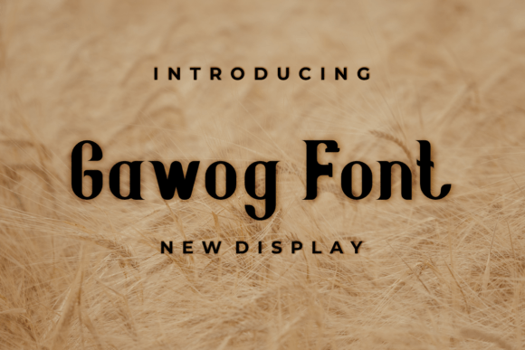 Testing Gawog for a Modern Web Design Project