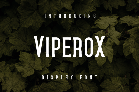 Viperox: A Display Font That Elevates Editorial Design